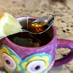 Hot Toddie-ish