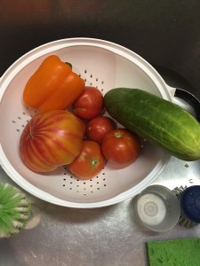 Gazpacho Veg