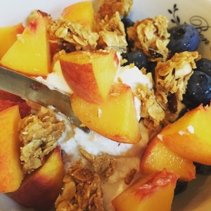 Greek Yogurt Fruit Granola
