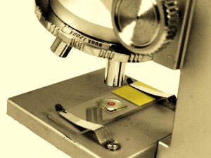MF-Microscope
