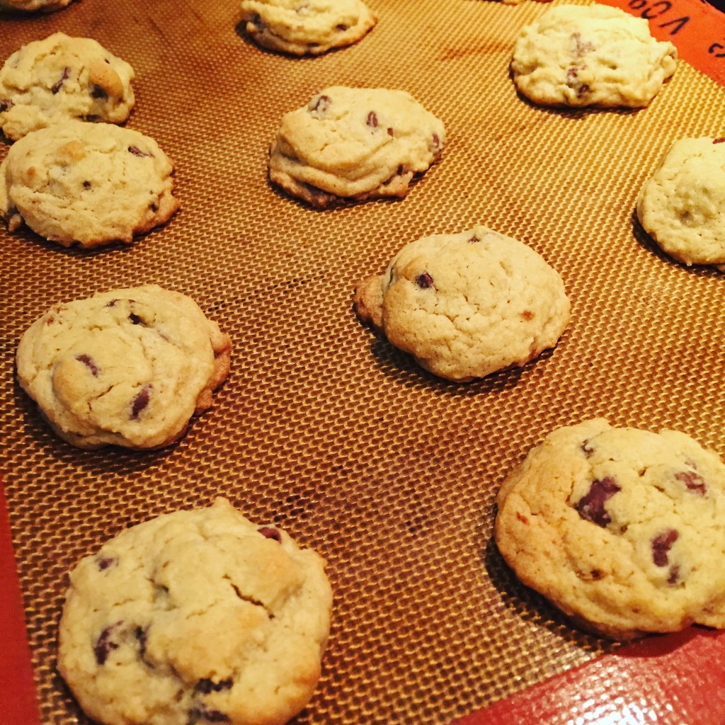 Testing Gluten-Free Flour – Pancakes and Cookies – Southern Fried Nutrition